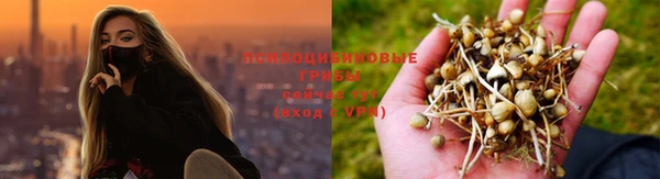 MDMA Алексеевка