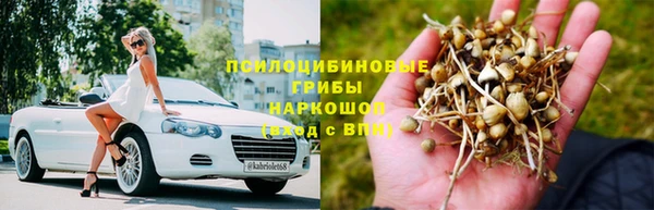 Альфа ПВП Алексин