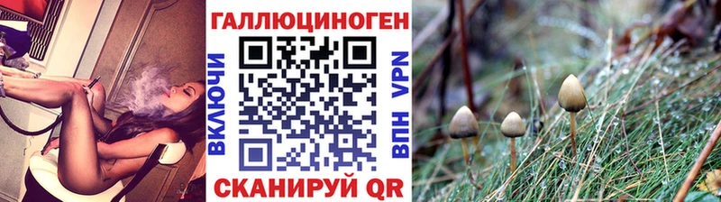 купить   Куйбышев  mega ссылка  Псилоцибиновые грибы MAGIC MUSHROOMS 